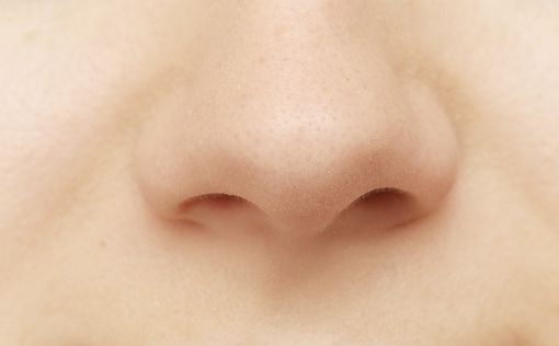 Человеческий нос различает около триллиона запахов