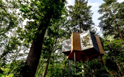 В Дании открыли первый в мире отель на дереве