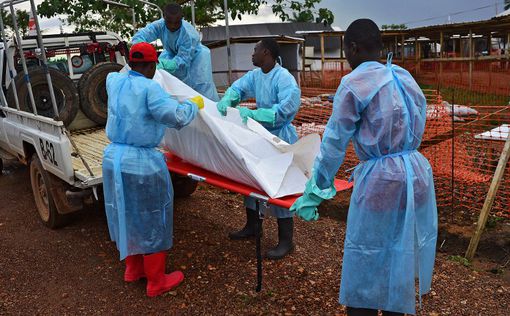 ВОЗ: масштабы вспышки Эбола недооцениваются