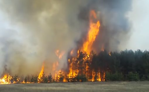 Медведев заподозрил умышленные поджоги лесов в Сибири