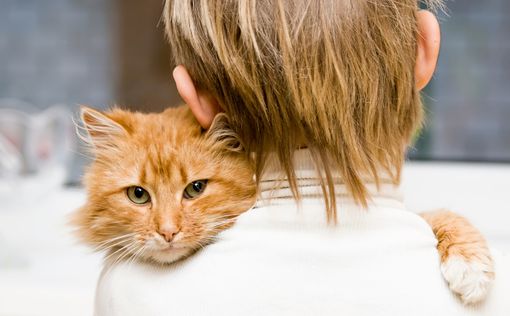 Ученые доказали, что кошки действительно лечат