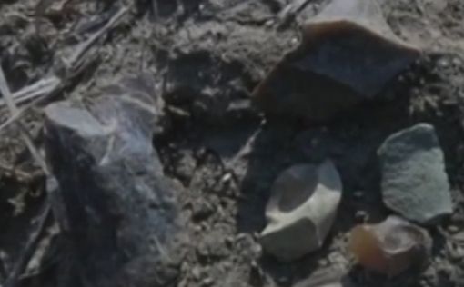 Найдены предметы эры палеолита
