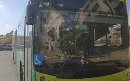 Маале-Адумим: автобус забросали камнями, ранен водитель