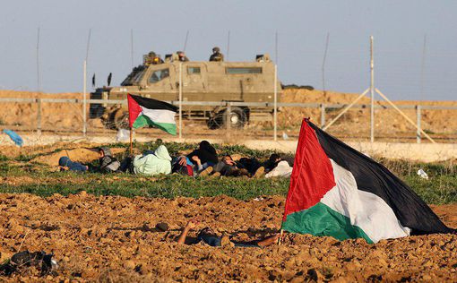 Гаарец: у нас нет права указывать палестинским героям как бороться с оккупацией