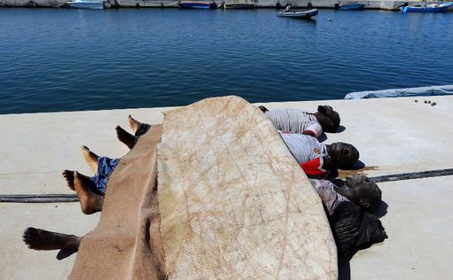Ливия: затонуло судно с мигрантами