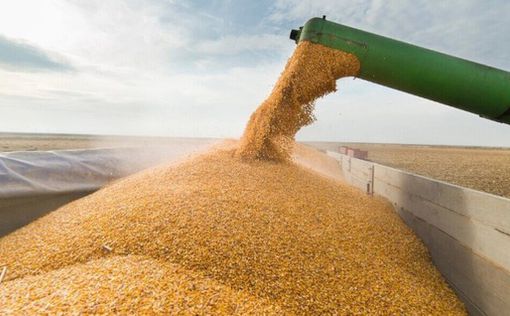 США готовы помочь выполнить требования РФ по "зерновой сделке"