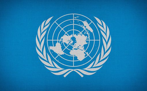 В ООН обновили данные: война забрала жизни 8490 мирных