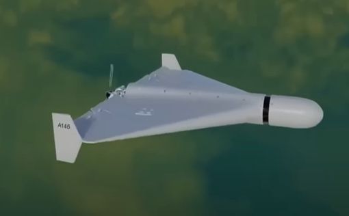 Россия планирует длительную атаку дронами: ВВС Украины оценили возможности врага