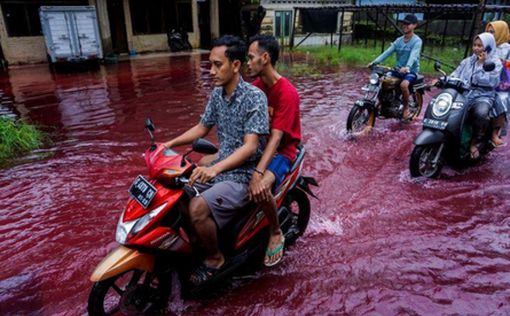 Из-за наводнения в Индонезии текут пурпурные реки | Фото: AFP
