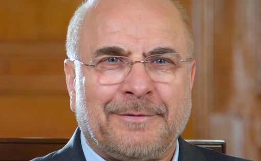 Мохаммад Багер Галибаф призвал к референдуму для решения палестинского вопроса