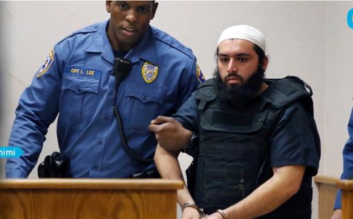 Нью-йоркскому террористу грозит пожизненное заключение