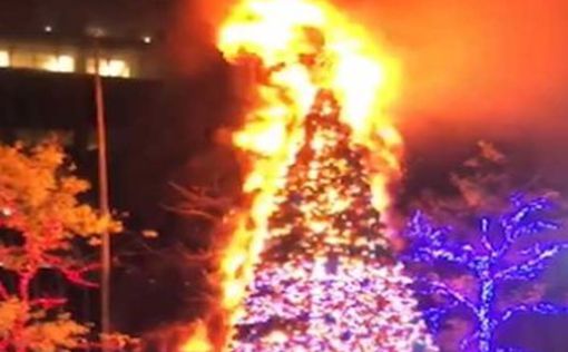 Бездомный сжег огромную рождественскую елку в центре Нью-Йорка