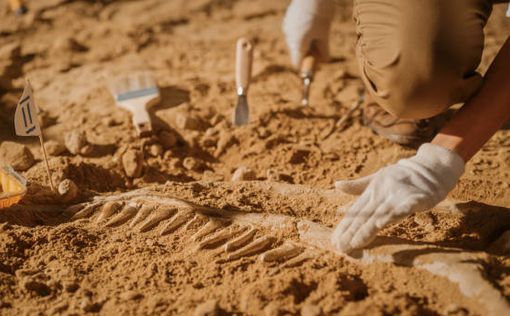 В Перу археологи нашли мумию подростка
