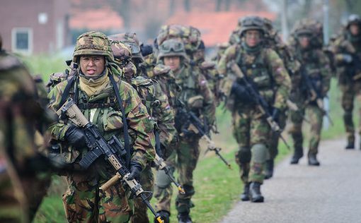 Голландское правительство "серьезно пренебрегает" армией