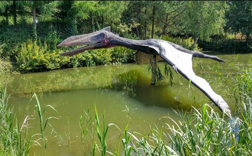 Древний летающий ящер "Дракон смерти" обнаружен в Аргентине