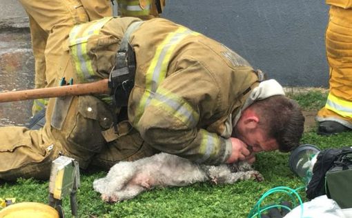 Американский пожарный спас пса дыханием рот в рот