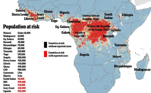 Эбола грозит 15 странам Африки, 22 млн человек в зоне риска