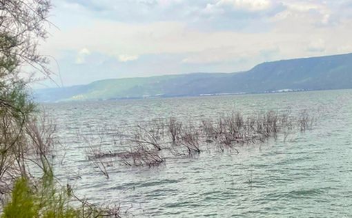 Тяжелые опасения за жизнь репатриантки, пропавшей на озере Кинерет