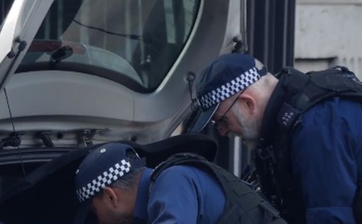 Освобожден водитель, врезавшийся в ворота резиденции премьера Британии
