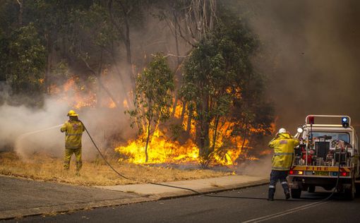 Австралия в огне: уничтожено 49 домов, погиб человек