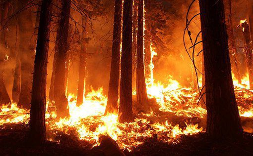 Лесные пожары бушуют на тихоокеанском северо-западе США и на западе Канады