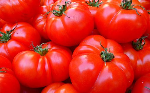 На благо туркам: В Израиле отменены пошлины на помидоры