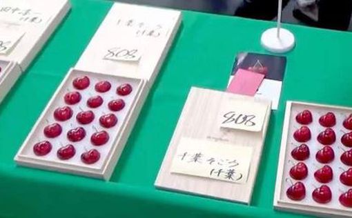 В Токио состоялась традиционная продажа самого дорогого килограмма черешни