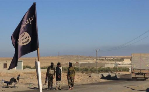 ISIS ввел в Ракке осадное положение