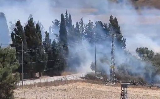 Пожар в оливковых рощах палестинского города приписывают поселенцам