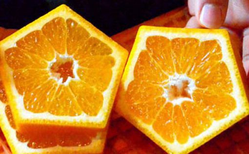 Япония. Фермеры создали пятиугольные плоды на удачу