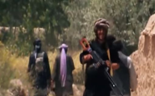 Талибы выкрали 27 активистов "Движения за мир"