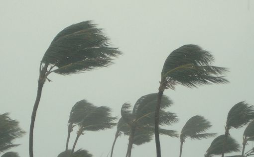 Тропический шторм "Мария" усилился до урагана