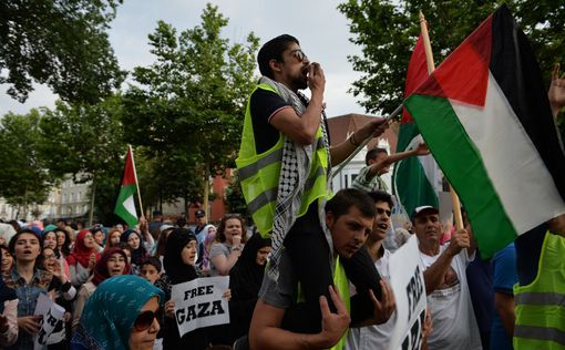 Ирландия: акция в поддержку жителей Газы