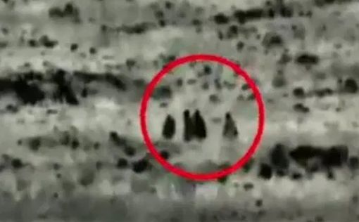 Видео: так ликвидировали террористов на сирийской границе