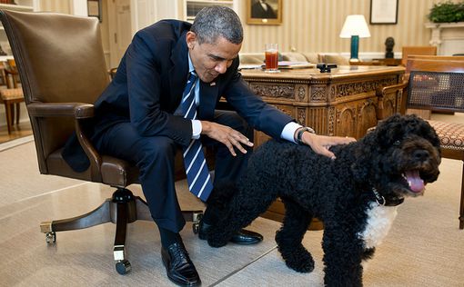 Американец с дробовиком хотел украсть собаку Обамы
