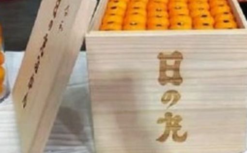 Почти 10 000 долларов за ящик мандарин