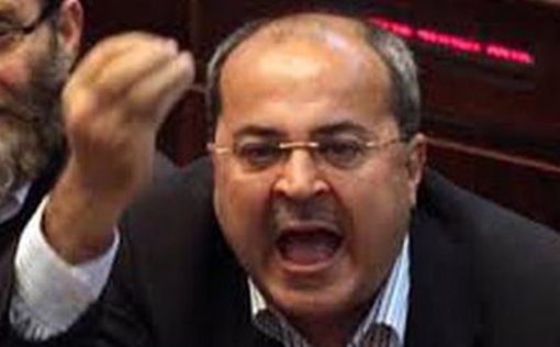 Арабские депутаты в гневе из-за закона о лишении террористов гражданства