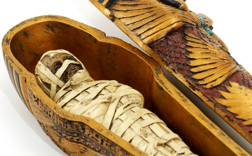 Треть мумий животных Древнего Египта оказались подделками