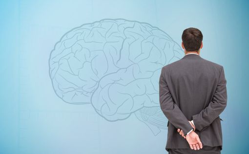 Ученые: Мозг успешных людей имеет особое устройство