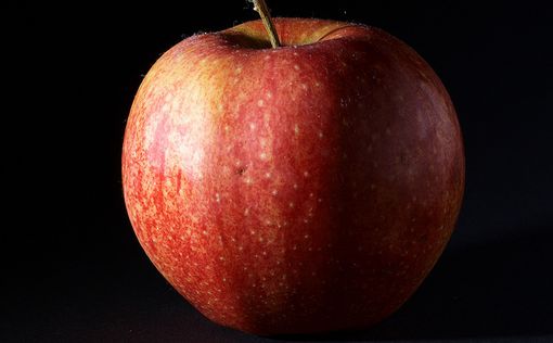 Ученые: яблоки предотвращают онкологические заболевания