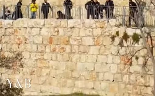 Жители Иерусалима нейтрализуют террориста. Видео