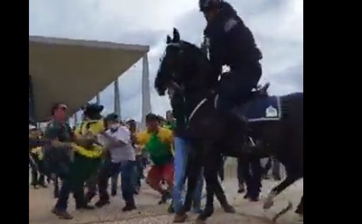 В Бразилии дубинками избили конного полицейского и его лошадь