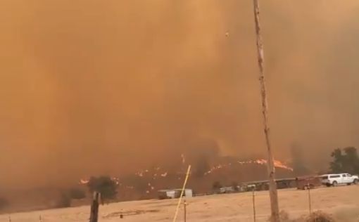 Масштабный пожар в Калифорнии: тысячи домов под угрозой