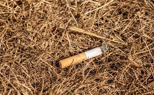 Табачные компании будут платить за уборку окурков в Испании