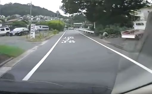 Япония: авто влетело в толпу детей