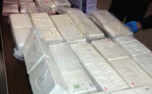 В США охрана отняла у контрабандистов 6 тонн кокаина