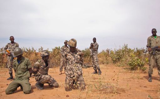 Мали: французские войска уничтожили 12 экстремистов