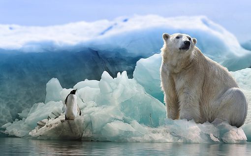 Ученые: климат в Арктике меняется с чудовищной скоростью
