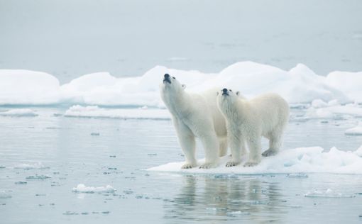Арктика скоро останется без ледников