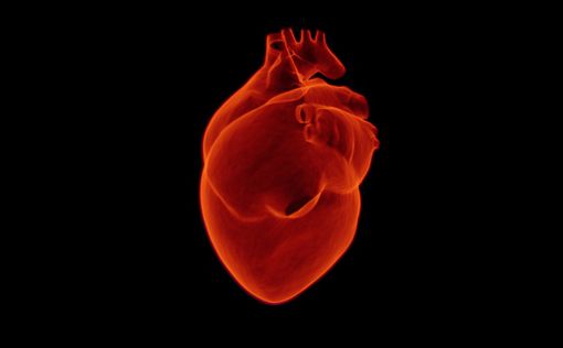 Смертность от инфаркта у 25-44-летних выросла на 30% в первые два года пандемии
